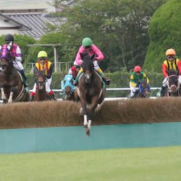 【小倉競馬】落馬の少ない障害へ──。関東馬の活躍、競走中止の少なさから分かる障害界の意識改革