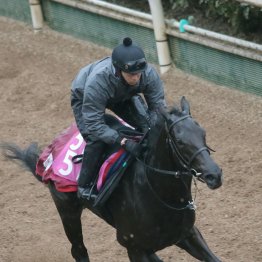 【チューリップ賞】調教マル得チェック①