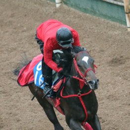 【中山記念】調教マル得チェック