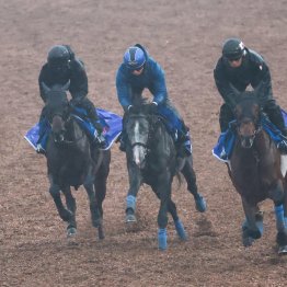 【中山記念】調教マル得チェック