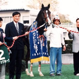 人間味、親近感　番記者の新居が語る国枝師の実像（１）