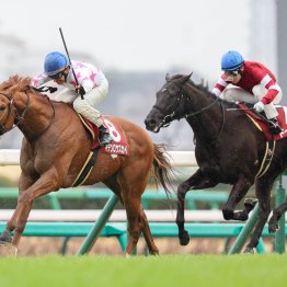 【中山記念】データ作戦　開幕週の馬場で逃げ、先行タイプの伏兵に要注意
