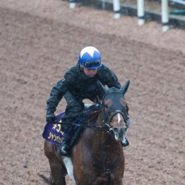 【中山記念】シャンパンカラー久々の美酒だ