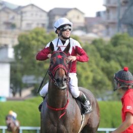 【市川の土曜競馬コラム・オーシャンＳ】