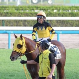 【飯島の土曜競馬コラム・春風Ｓ】