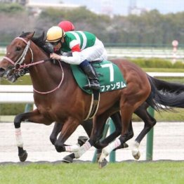 【新居の土曜競馬コラム・オーシャンＳ】