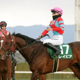 【木津の土曜競馬コラム・オーシャンＳ】