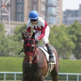 【大谷の土曜競馬コラム・オーシャンＳ】