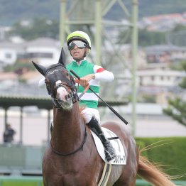 【大阪本紙・弘中の土曜阪神12Ｒ】