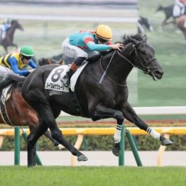 【東京本紙・外山の土曜中山９Ｒ】