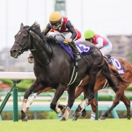 【東京本紙・外山のオーシャンＳ】