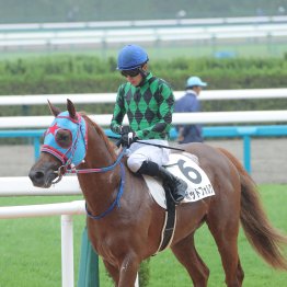 【播磨の日曜競馬コラム・伊丹Ｓ】