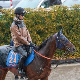 【飯島の日曜競馬コラム・中山記念】