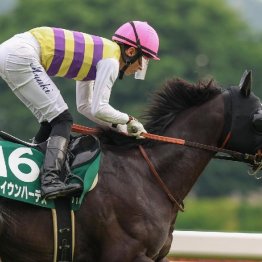 【大谷の日曜競馬コラム・中山記念】