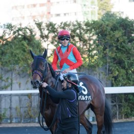 【小倉本紙・勝羽の日曜小倉11Ｒ】