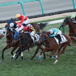 【東京本紙・外山の日曜中山９Ｒ】