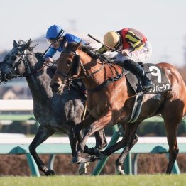 【東京本紙・外山の日曜中山10Ｒ】