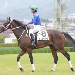 【チューリップ賞】◎タイセイボーグ　高目ツモ狙う３連単だ