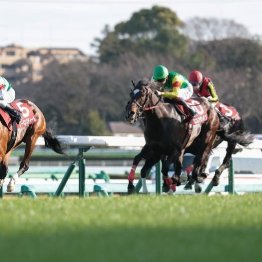 【中山記念】レーベンスティールが５つ目の重賞タイトルをゲット