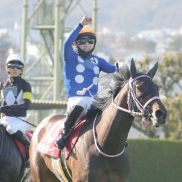 【チューリップ賞】レース後の談話（ネットオリジナルを含む）