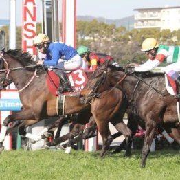 【チューリップ賞】阪神ＪＦ③着タイセイボーグの勝利で今年も非トライアル組優位になるのか