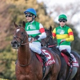 【中山記念】レース後の談話（ネットオリジナルを含む）