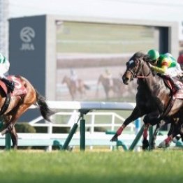 【中山記念】レーベンスティール重賞５勝目　次こそは殻を破れるか
