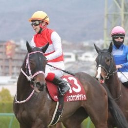 【フィリーズレビュー】ショウナンカリスが実績ある７Ｆで巻き返す