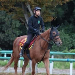【新連載】競馬の世界に入ろうと思ったきっかけは登校班の班長さん？！