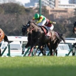 今年の中山記念組は要注目の理由