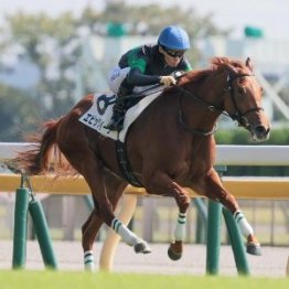 【フィリーズレビュー】エピッククイーン一気に重賞取り