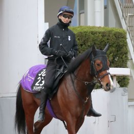 【弥生賞ディープインパクト記念】アドマイヤクワッズ反撃へ