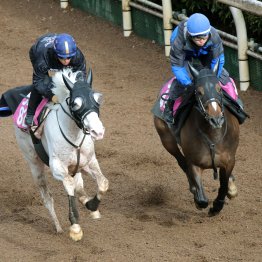 【フィリーズレビュー】調教マル得チェック②