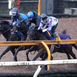 【弥生賞ディープインパクト記念】調教マル得チェック②