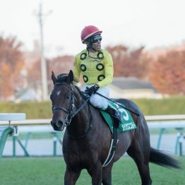 〈120〉いつもニコニコ　誰にでも態度が一切変わらない田中勝春調教師（２）