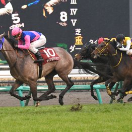 【弥生賞ディープインパクト記念】データ作戦　キャリア豊富な伏兵が波乱を呼ぶ
