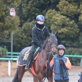 【弥生賞ディープインパクト記念】ステラスペースの一発がある