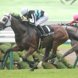 【市川の土曜競馬コラム・中山牝馬Ｓ】