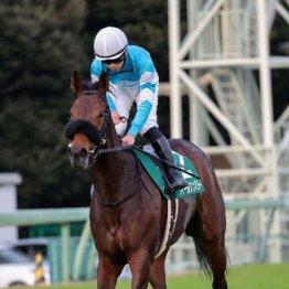 【木津の土曜競馬コラム・中山牝馬Ｓ】