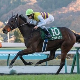 【武田の土曜競馬コラム・中山牝馬Ｓ】