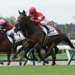 【橘の土曜競馬コラム・フィリーズレビュー】