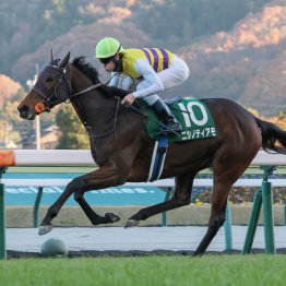 【新谷の土曜競馬コラム・中山牝馬Ｓ】