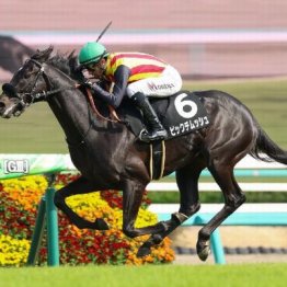 【東京本紙・外山の土曜中山９Ｒ】