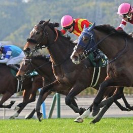 【東京本紙・外山の中山牝馬Ｓ】