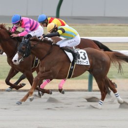 【大阪本紙・弘中の土曜阪神12Ｒ】