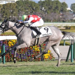 【大阪本紙・弘中のフィリーズレビュー】