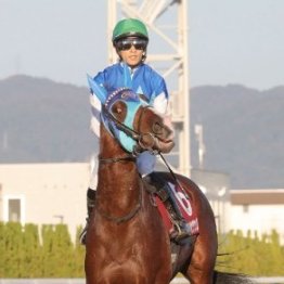 【市川の日曜競馬コラム・弥生賞ディープインパクト記念】