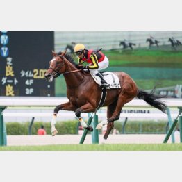 高評価通り福島でデビュー勝ち