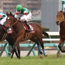 【注目重賞／データで買う・弥生賞ディープインパクト記念】