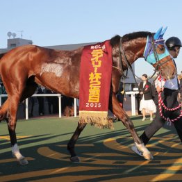 【弥生賞ディープインパクト記念】アドマイヤクワッズ　クラシックの主役です